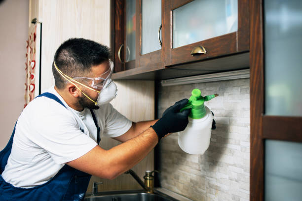 Best Pest Prevention Services  in Celoron, NY